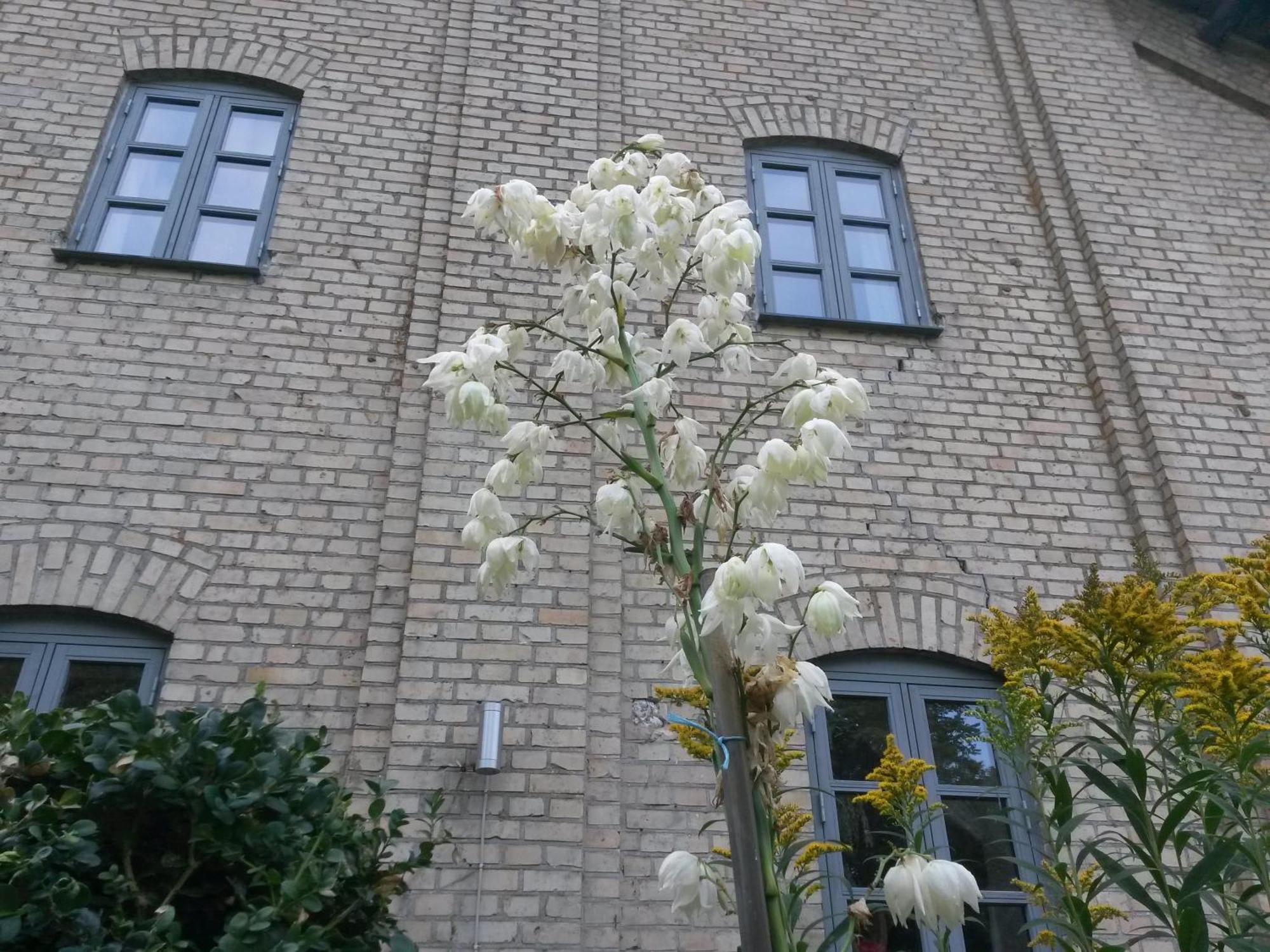 Skelstrupgaard Apartments Maribo Esterno foto