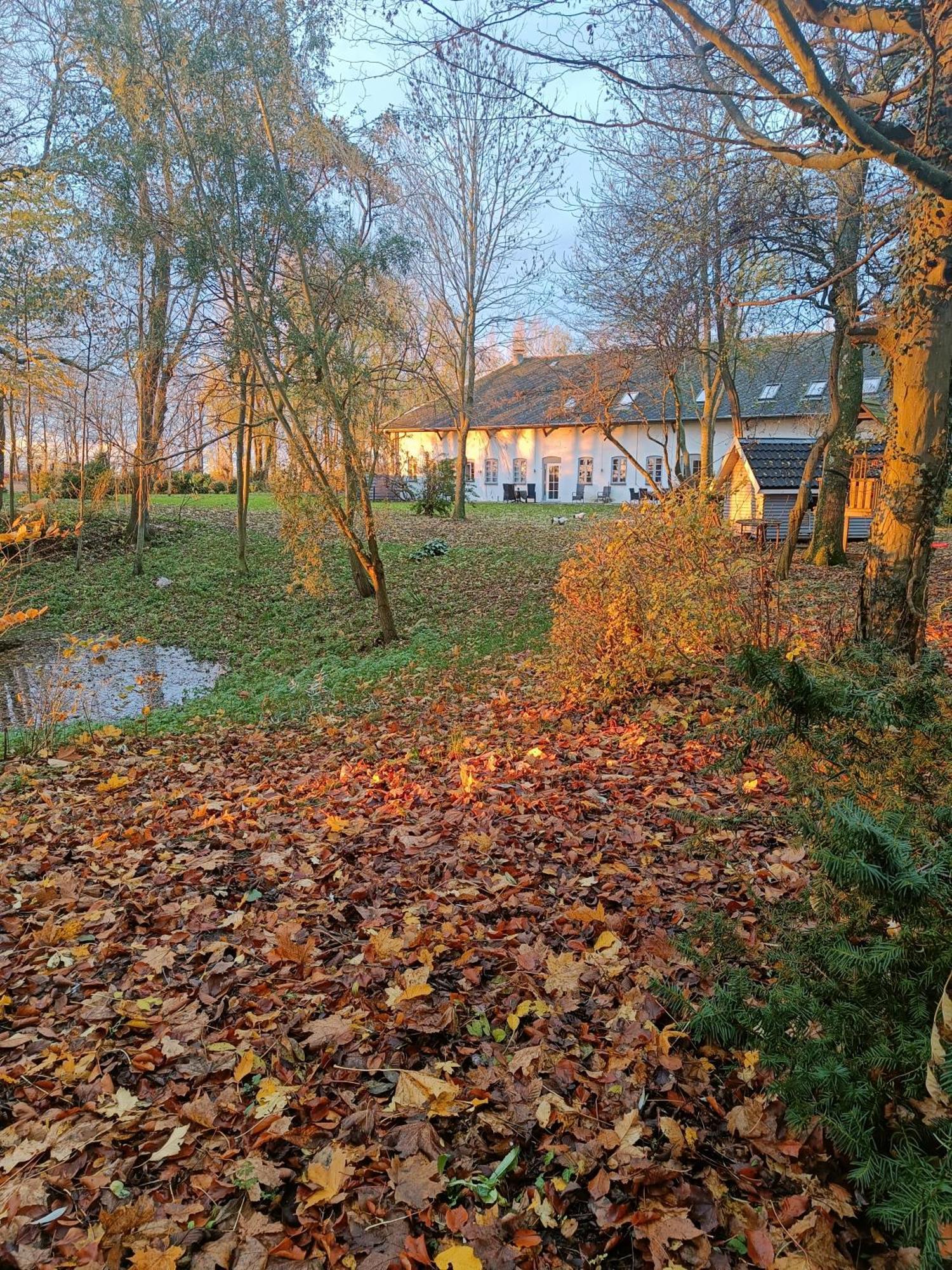 Skelstrupgaard Apartments Maribo Esterno foto